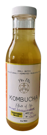 Nix Elix, Cucumber Ginger Kombucha, 12 oz